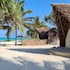 the zanzibari