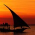 the zanzibari