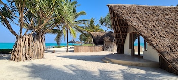the zanzibari
