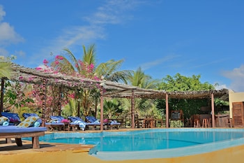 the zanzibari