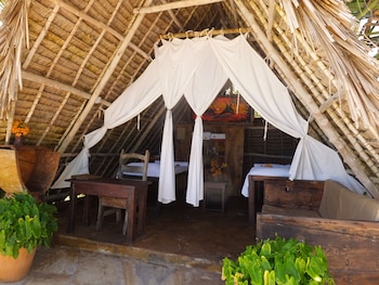 the zanzibari