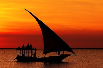 the zanzibari