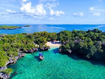 the zanzibari