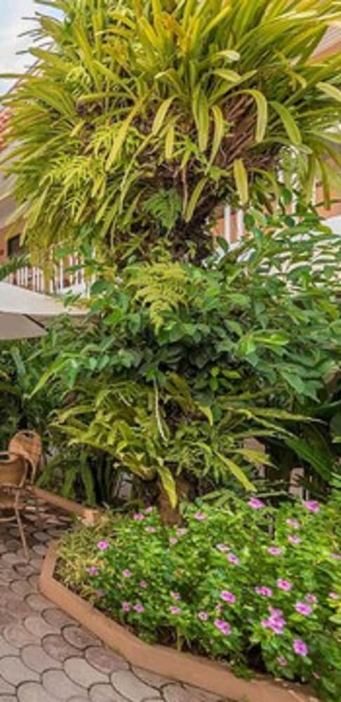 patio pacific boracay