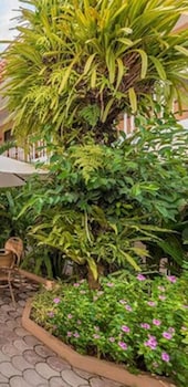 Patio Pacific Boracay,Near Happy Dreamland,3 star