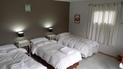 hosteria andina