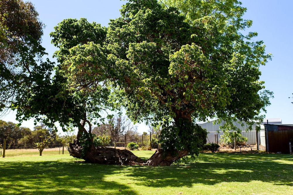 fairlawn estate