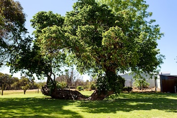 fairlawn estate