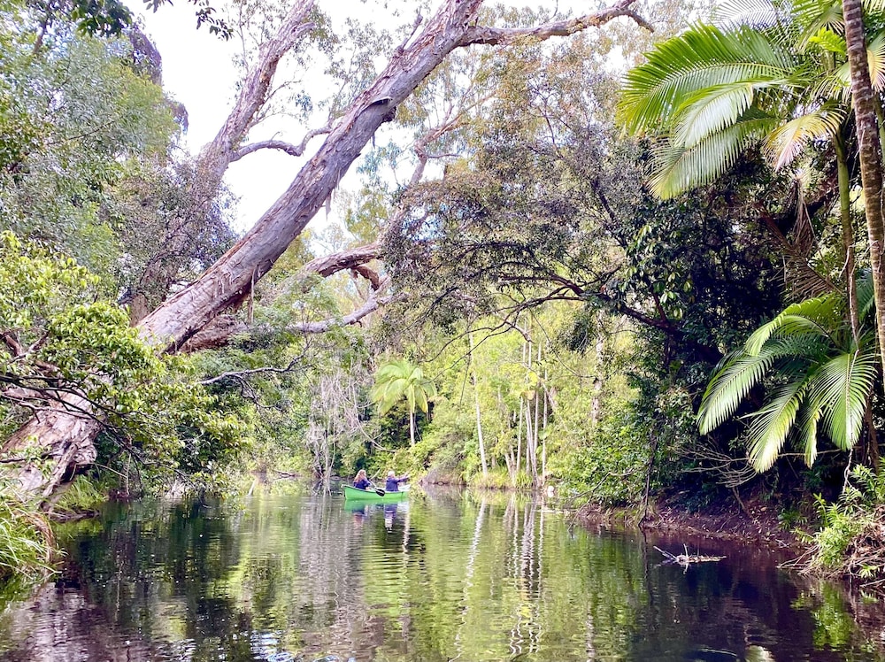 ferns hideaway resort
