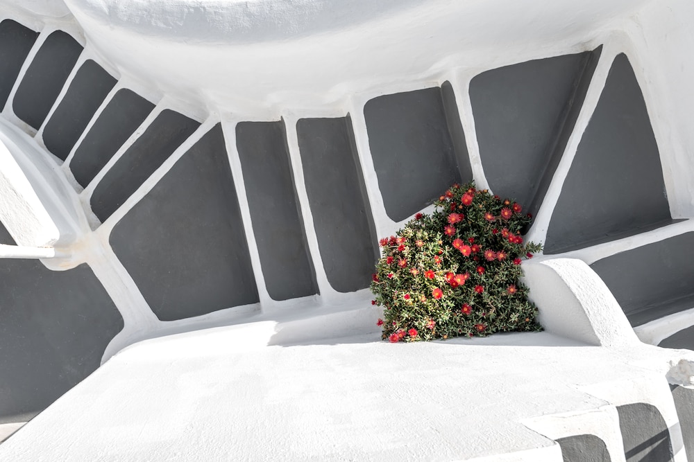 diamond luxury suites