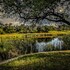 wimberley