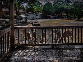 wimberley