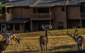 wimberley