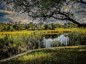 wimberley