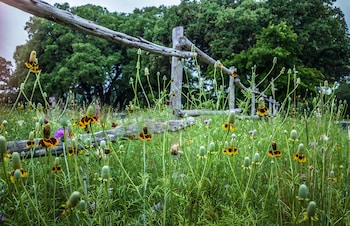 wimberley