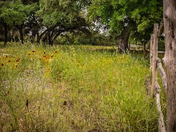 wimberley