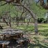 wimberley