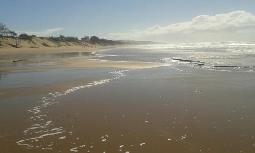 agnes palms beachside apartments