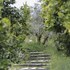 opora country living