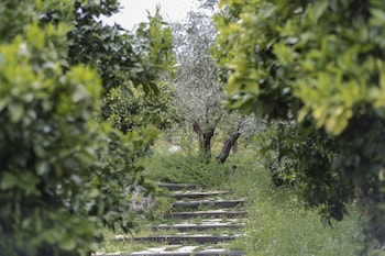 opora country living