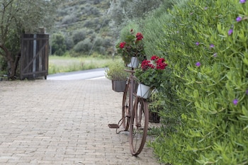 opora country living