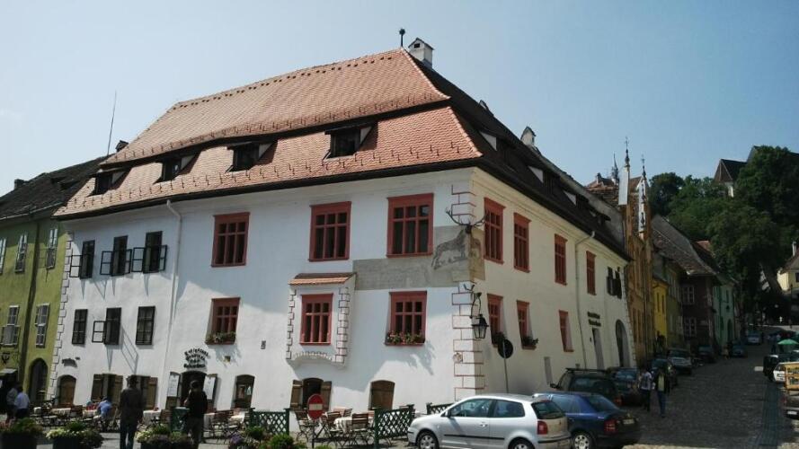 casa cu cerb