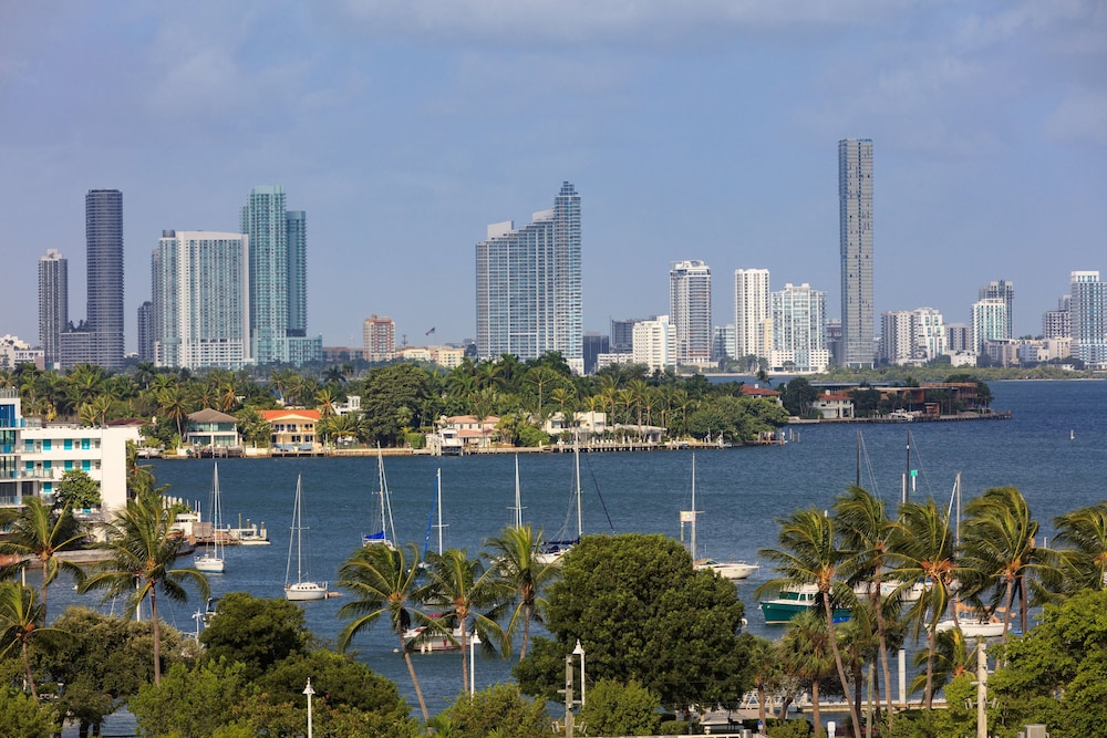 kimpton hotel palomar south beach an ihg hotel