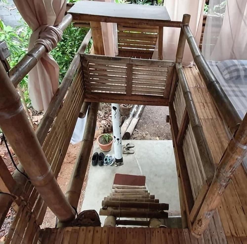 dream big eco hostel