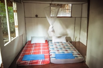 dream big eco hostel