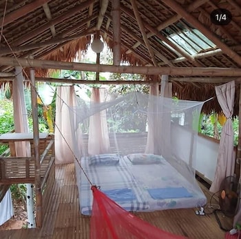 dream big eco hostel