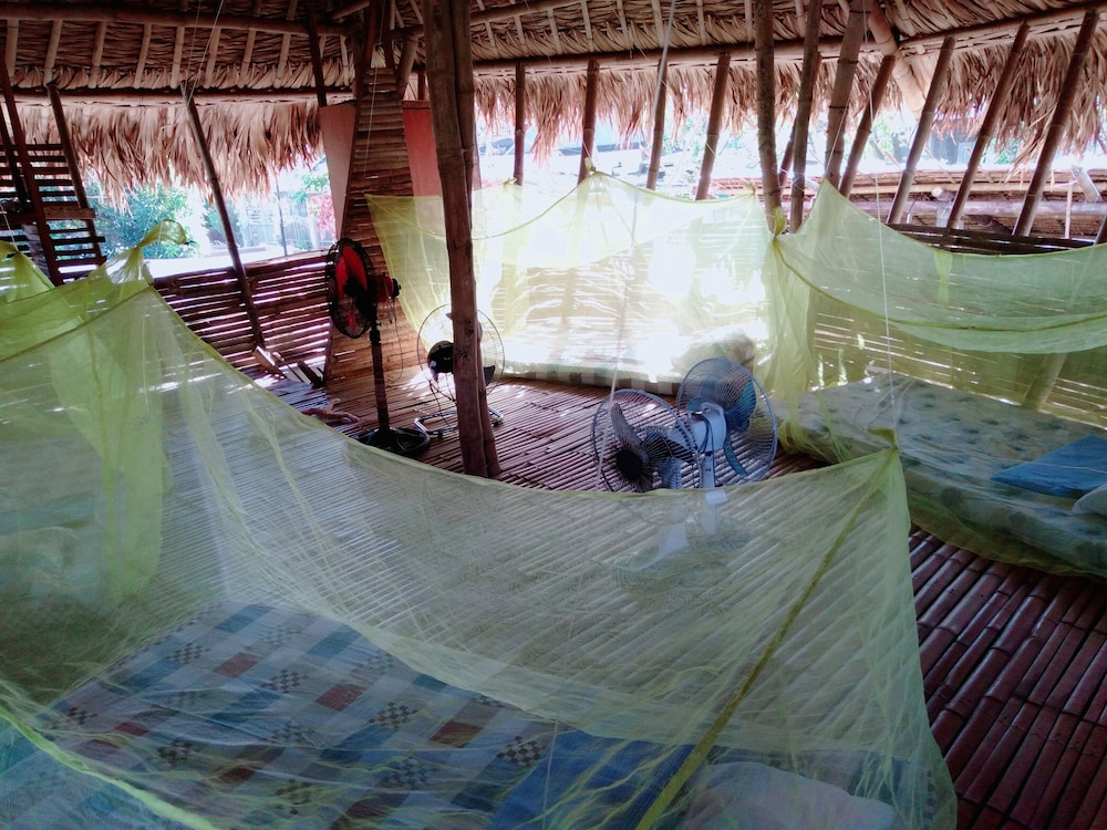 dream big eco hostel