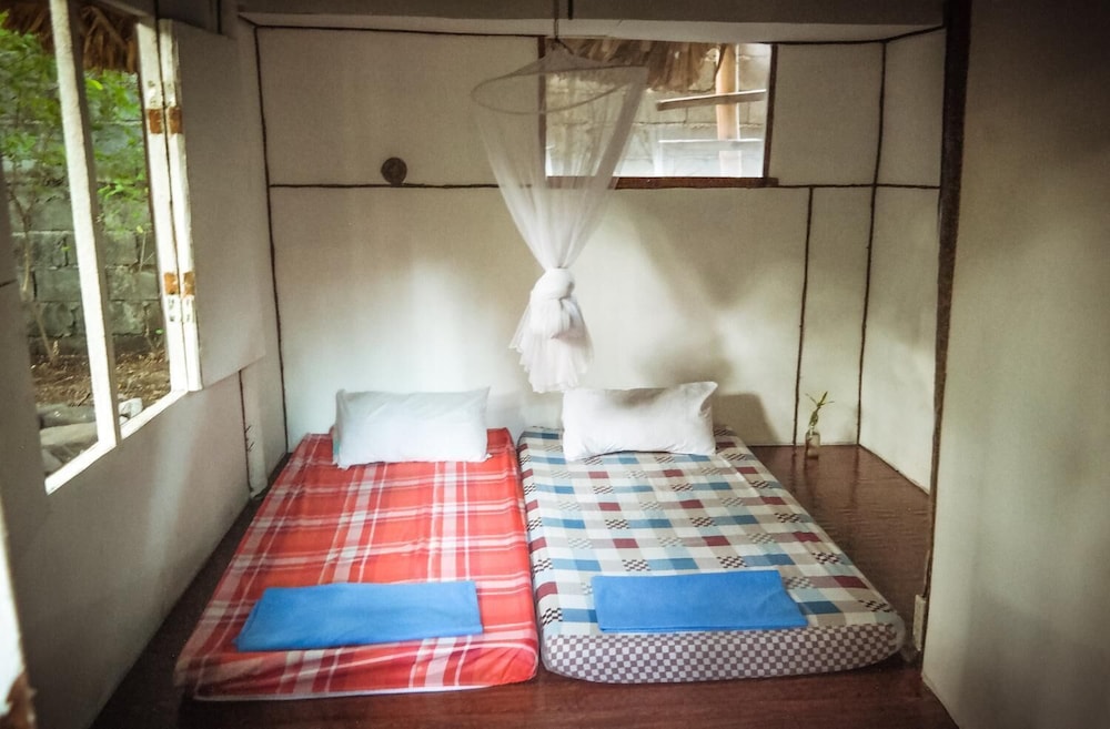 dream big eco hostel