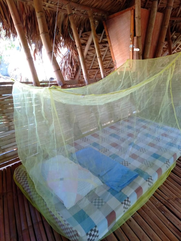 dream big eco hostel