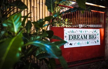 dream big eco hostel
