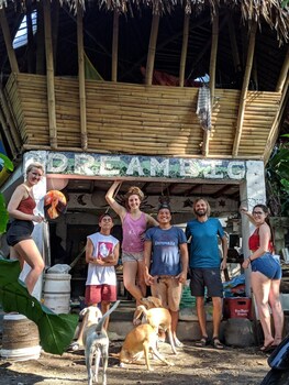 dream big eco hostel