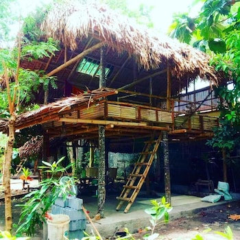 dream big eco hostel