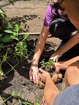 dream big eco hostel