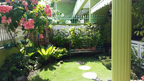 balamban
