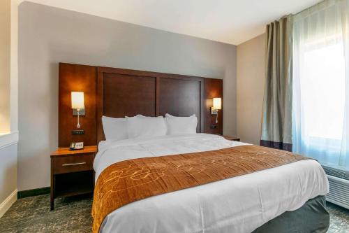comfort suites