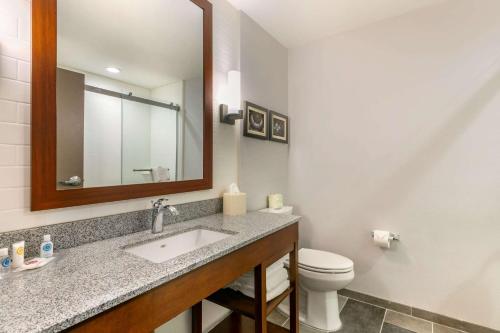 comfort suites