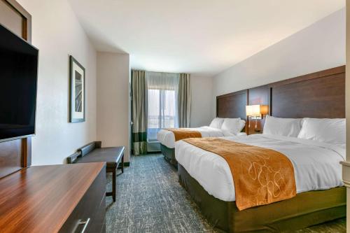 comfort suites