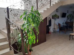 Vila Fortuna Auri,Nord-Vest>>Oradea,3 star