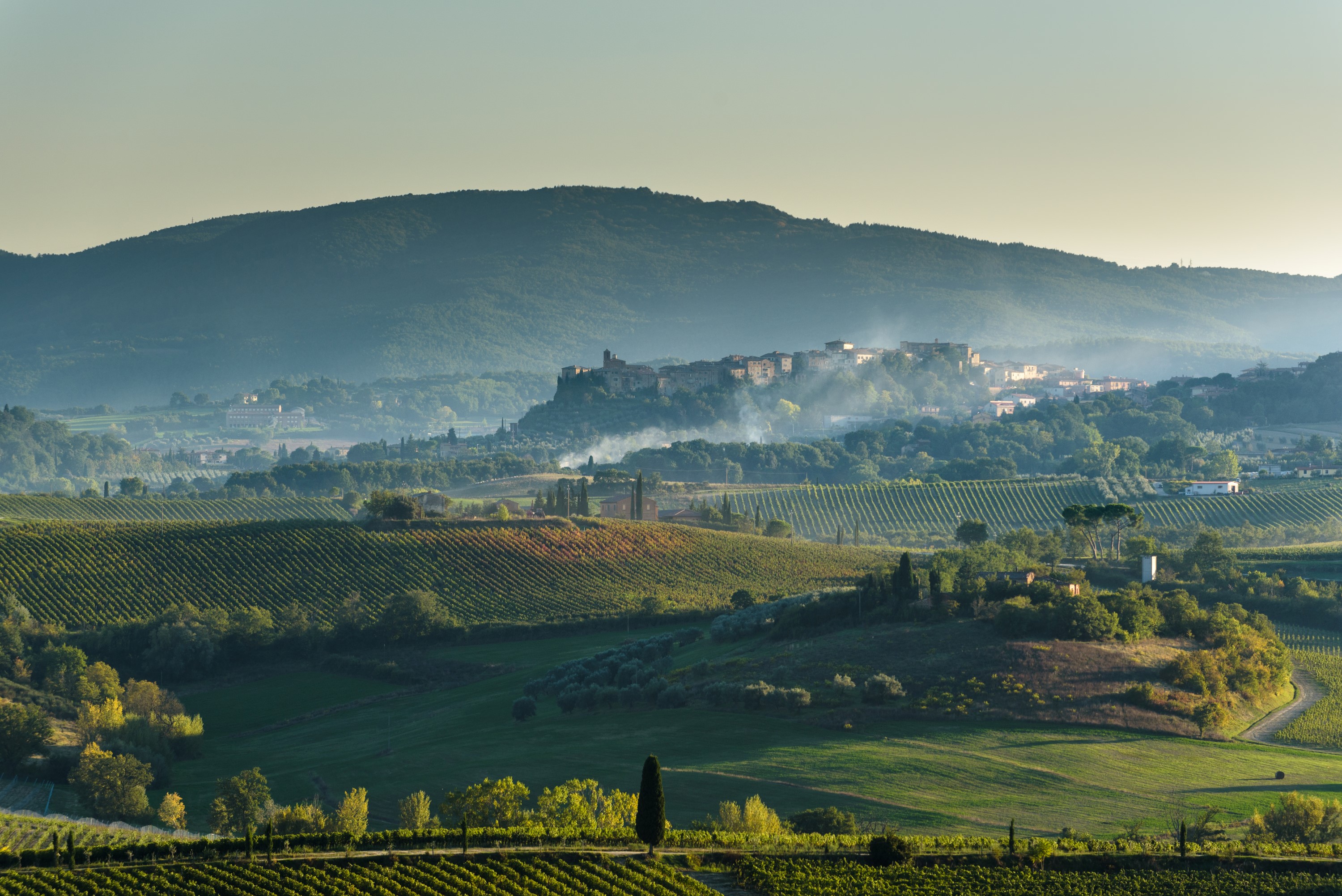 la casa delle querce