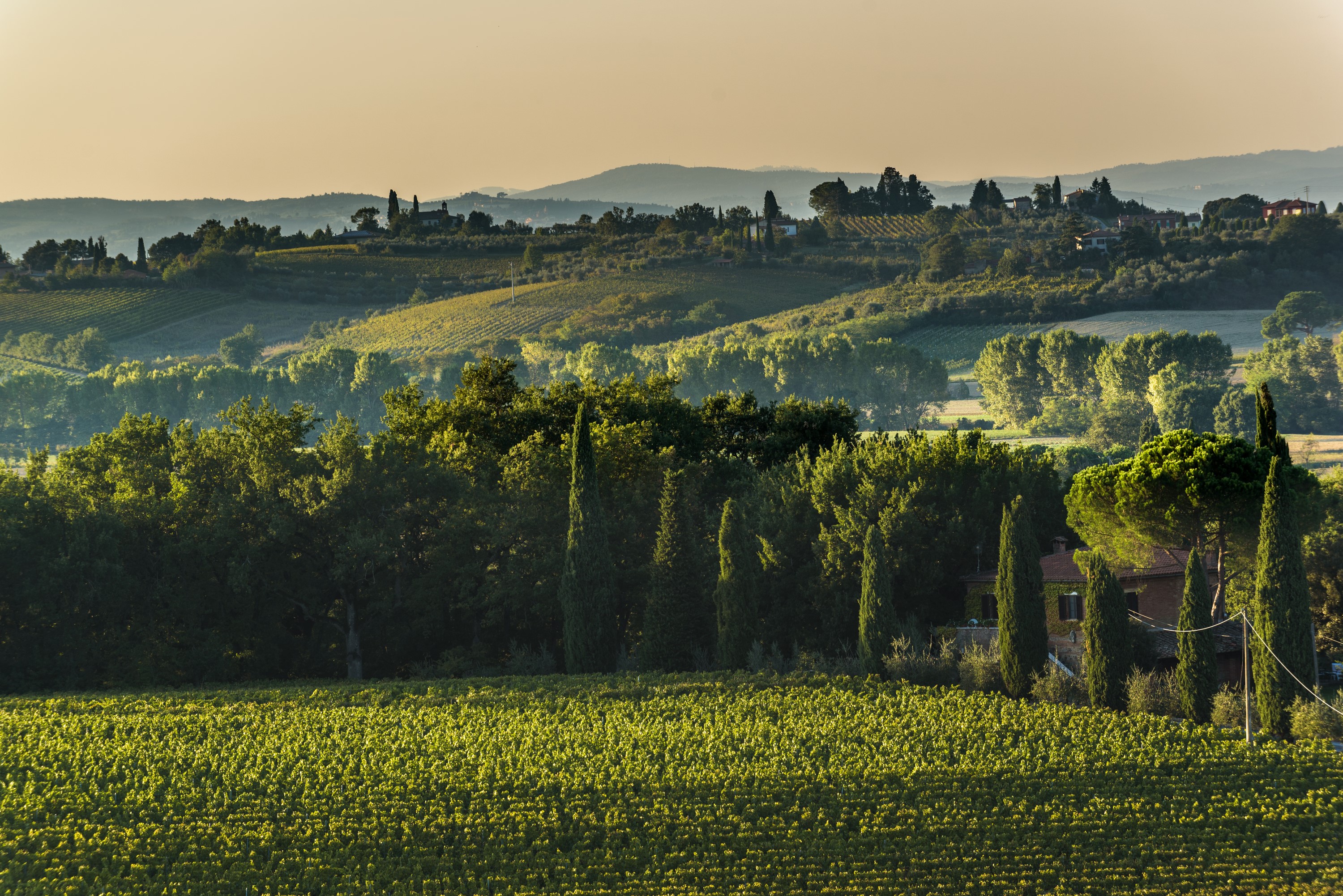 la casa delle querce