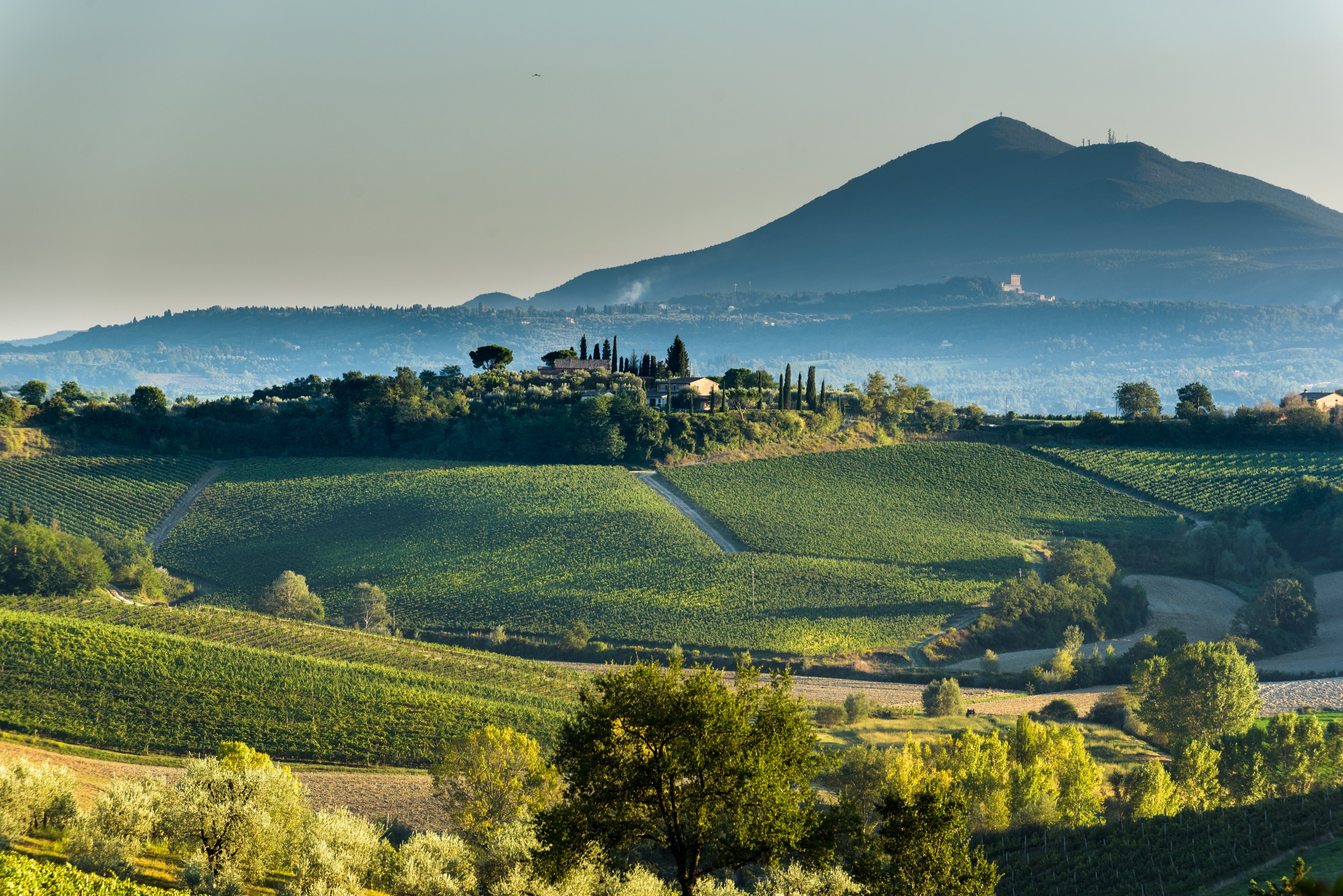 la casa delle querce
