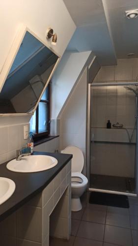 willa retro hostel