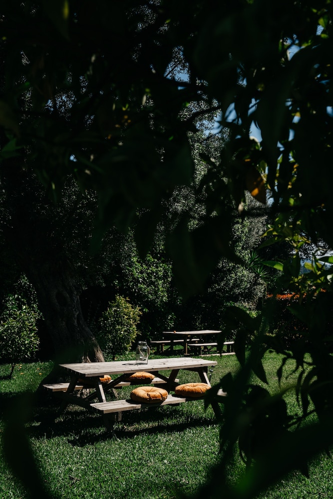 casa lata wine and tourism