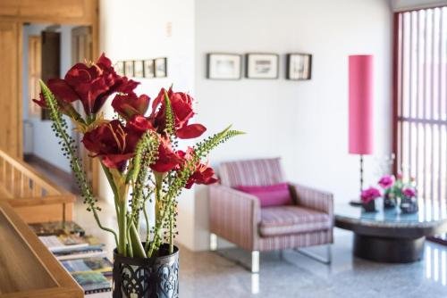 casa lata wine and tourism