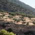 paralia livadostratas