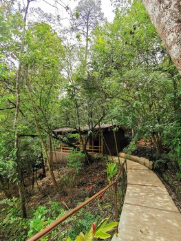 estancia del monje
